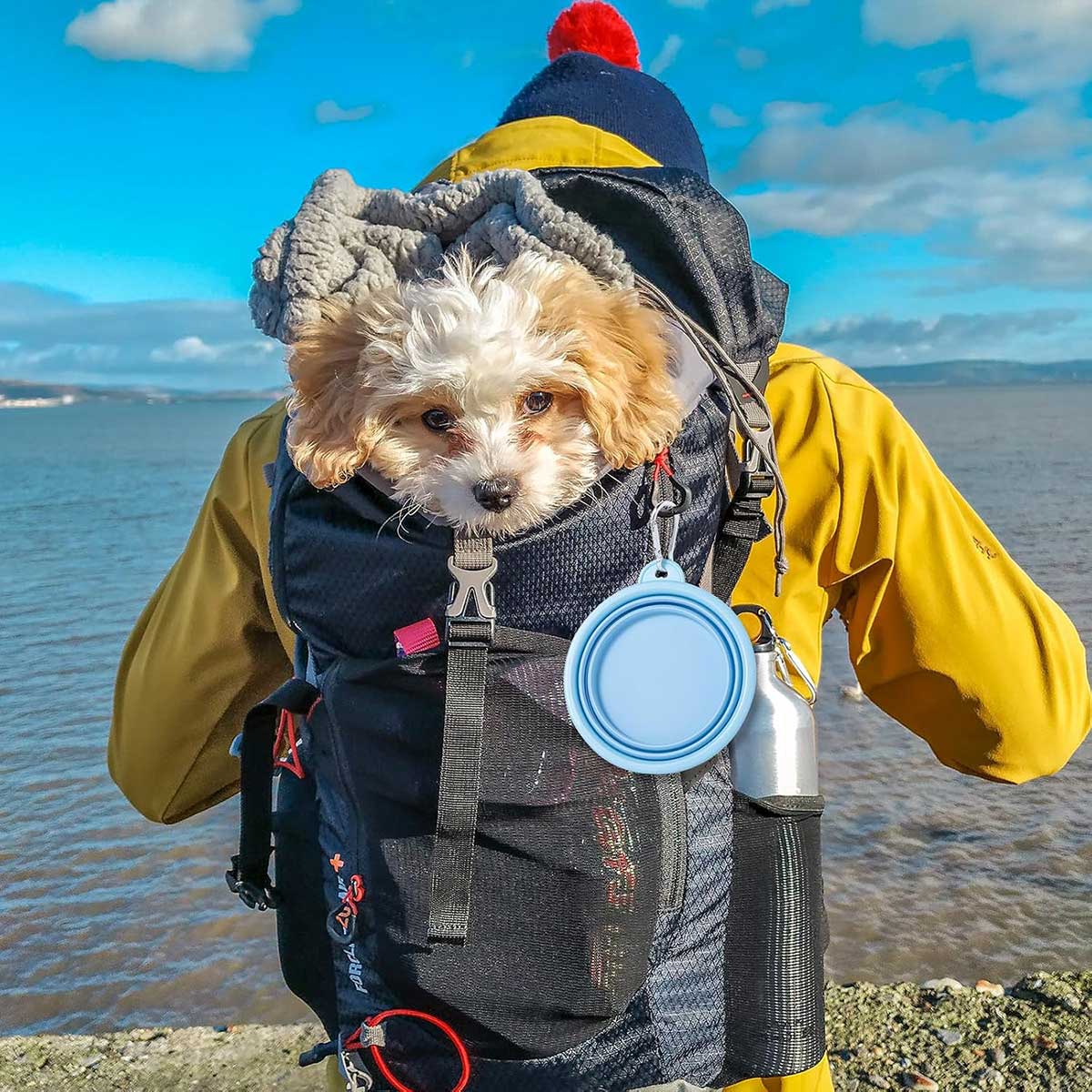 Collapsible Dog Travel Bowls