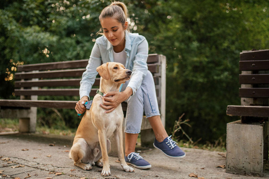 Keeping Your Dog Clean After Outdoor Adventures