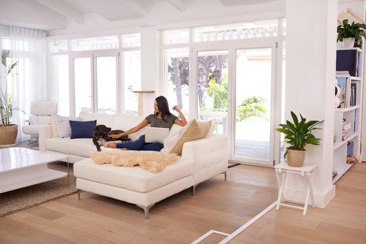 Keeping Your Home Fresh With Pets