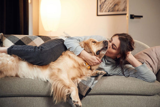 7 Things Every First-Time Dog Owner Should Know