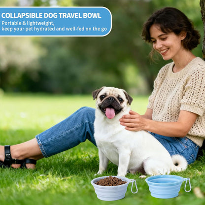 Collapsible Dog Travel Bowls