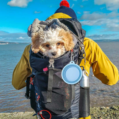 Collapsible Dog Travel Bowls